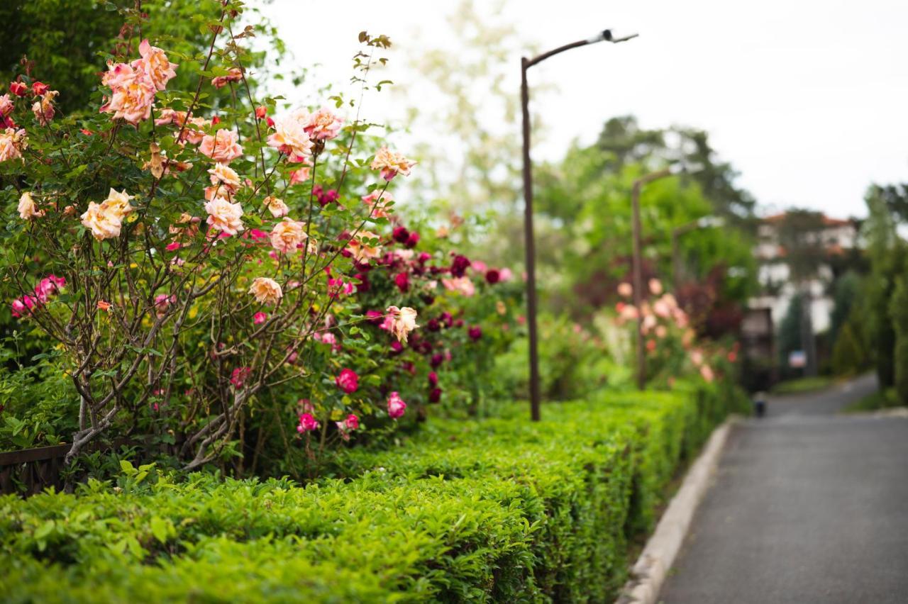 Cozy Home Santa Marina โซโซโปล ภายนอก รูปภาพ